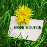 Image showing white card with green solution in text set on a background of green grass and yellow flower.