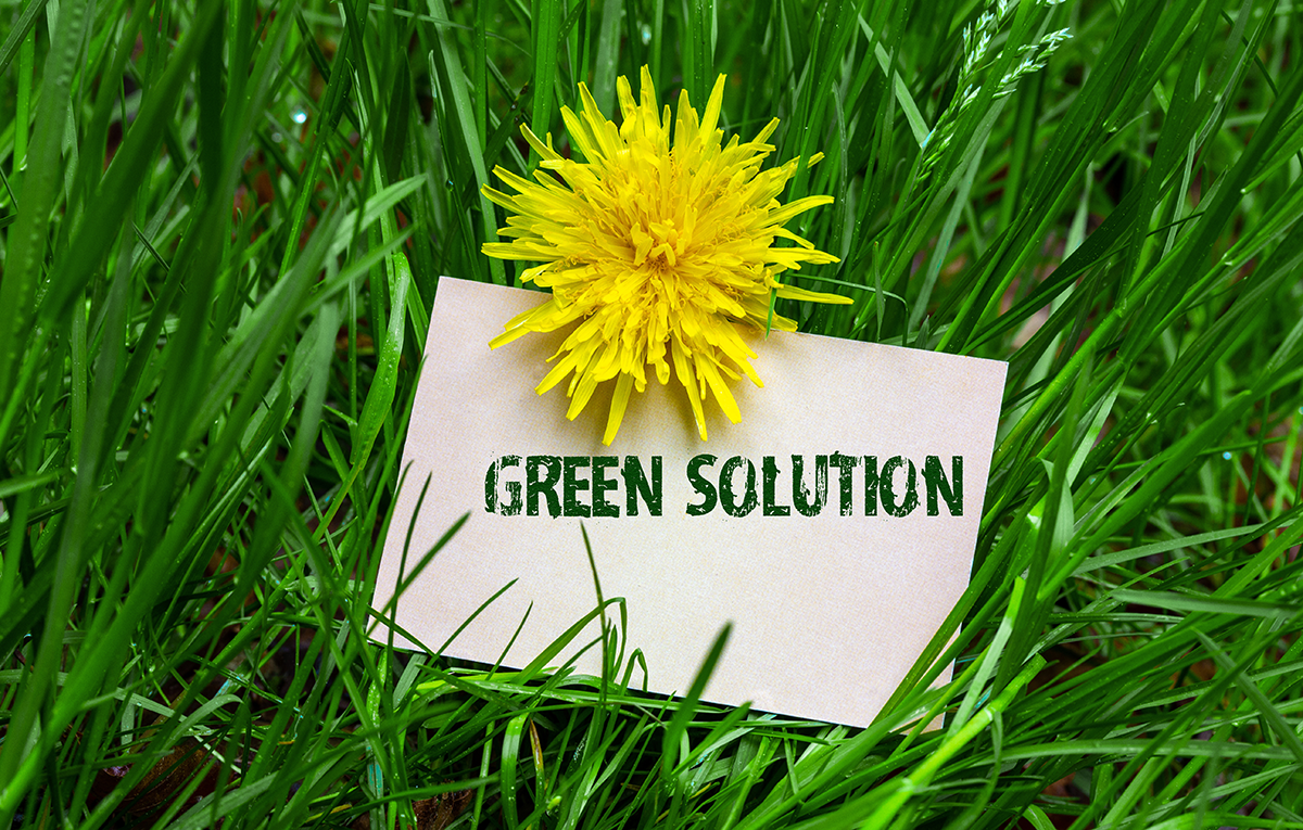 Image showing white card with green solution in text set on a background of green grass and yellow flower.